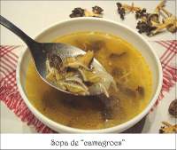   Sopa de setas (camagrocs)